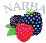 narba-logo-e1665168042374