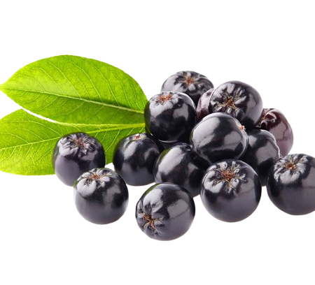 Aronia