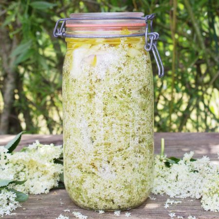Elderflower Cordial