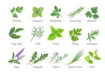 Herbs