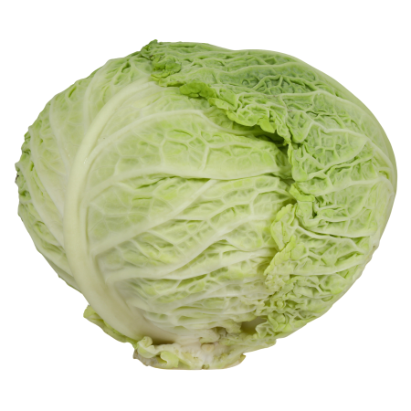 Lettuce