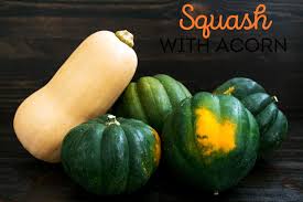 Squash
