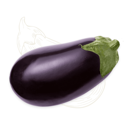 Egg Plant