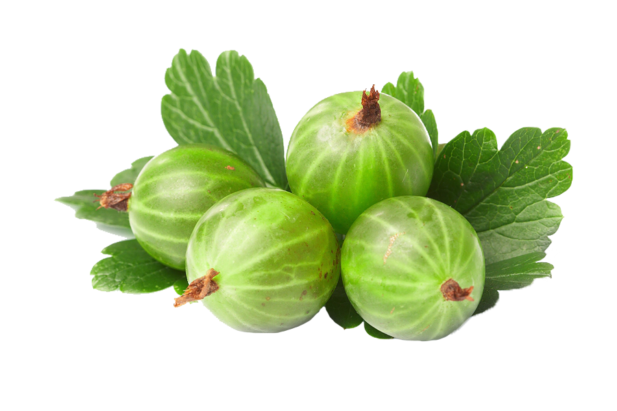 Gooseberries