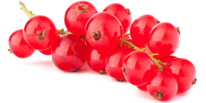 Currants - Red