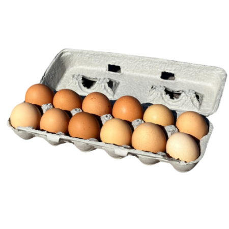 Fresh Eggs